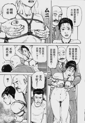 第275頁圖
