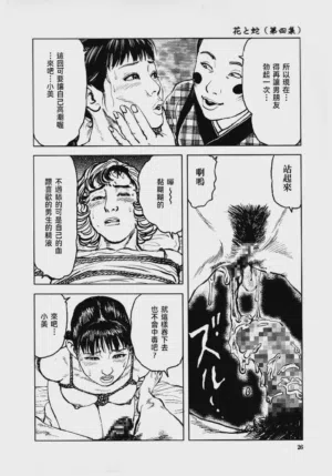 第31頁圖