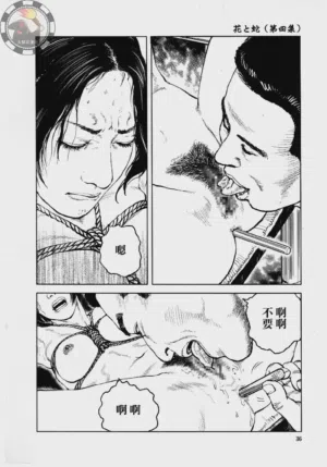 第41頁圖