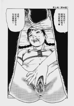 第45頁圖