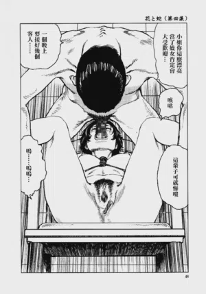 第53頁圖