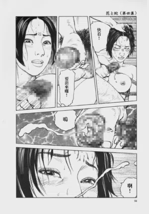 第88頁圖