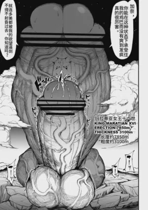 第217页图