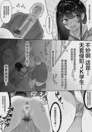 第27页图