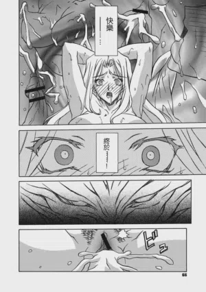 第66頁圖