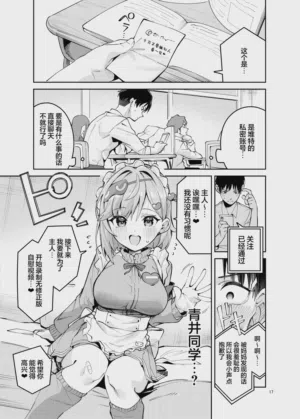 第17页图