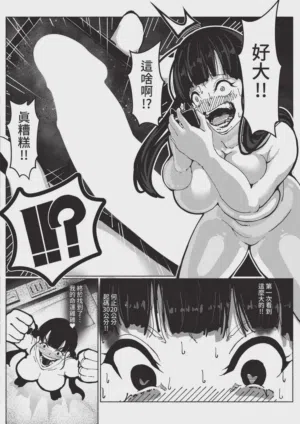 第478頁圖