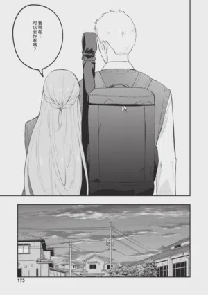 第175頁圖