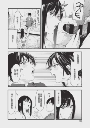 第102頁圖
