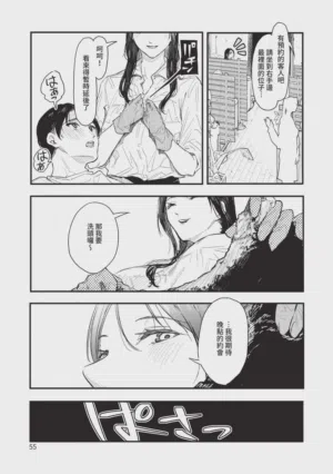 第55頁圖