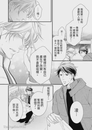 第204页图