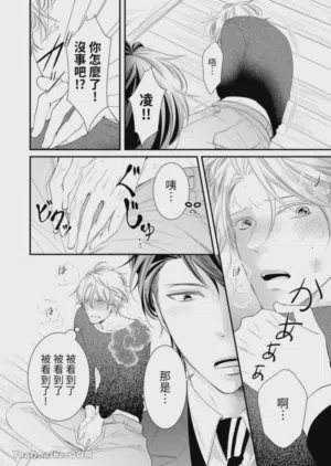 第233页图