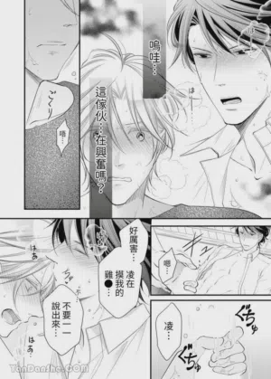 第246页图
