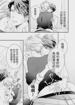 第247页图