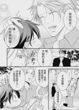 第295页图