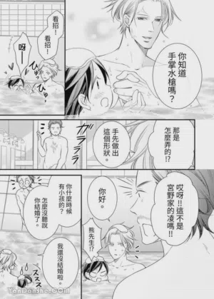 第315页图