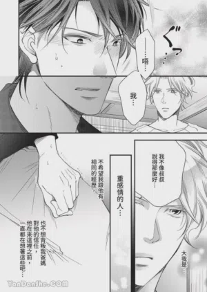 第382页图