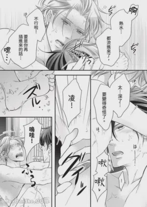 第412页图