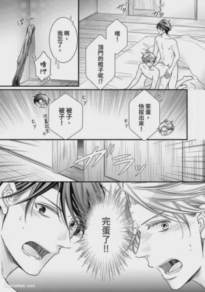 第217页图