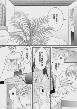 第526页图