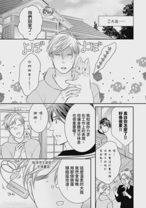 第533页图