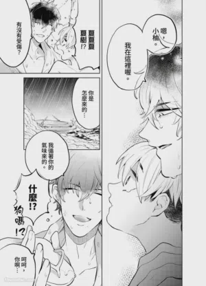 第118頁圖