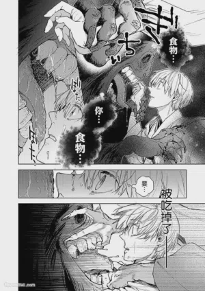 第38頁圖