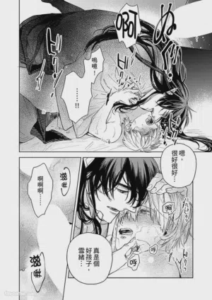 第48頁圖