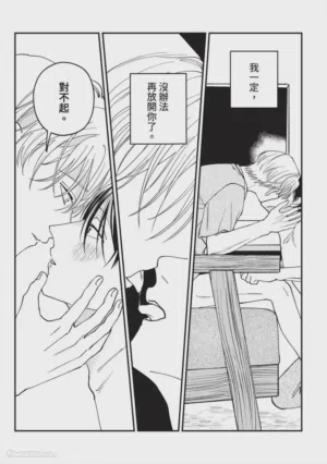 第194頁圖