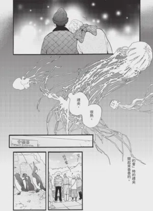 第146頁圖