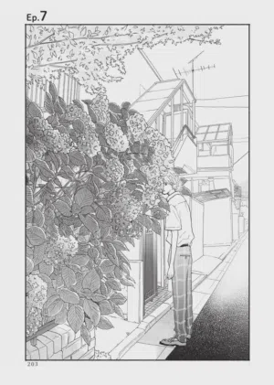 第203頁圖