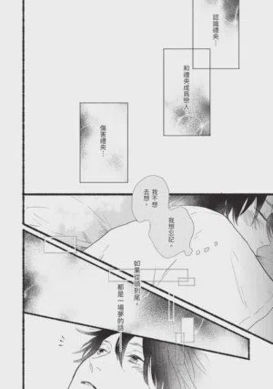第216頁圖