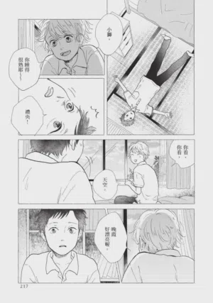 第217頁圖