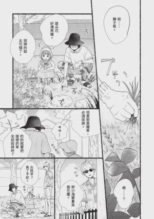 第219頁圖