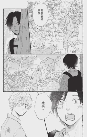 第251頁圖