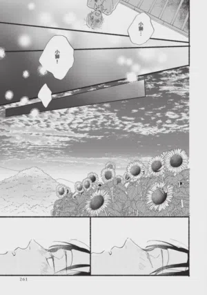 第261頁圖