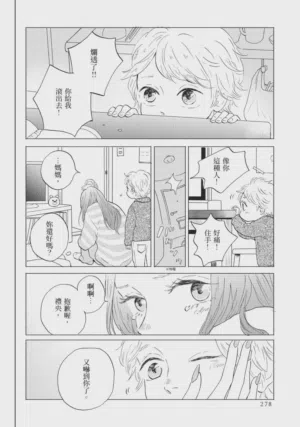 第278頁圖
