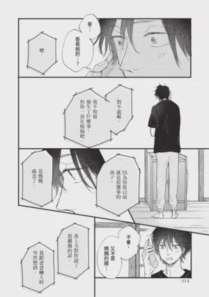 第314頁圖