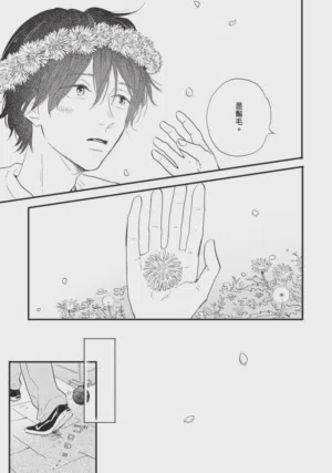 第331頁圖