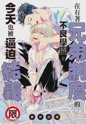 Kyoudai Seido no aru Yankee Gakuen de, Kyou mo Chigiri wo Semararetemasu I︱在有着兄弟制度的不良学园，今天也被逼迫结义图