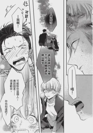 第81頁圖