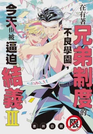 Kyoudai Seido no aru Yankee Gakuen de, Kyou mo Chigiri wo Semararetemasu III︱在有着兄弟制度的不良学园，今天也被逼迫结义图