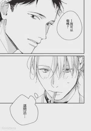 第111頁圖