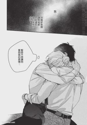 第132頁圖