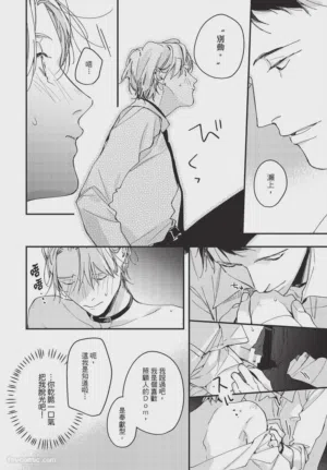 第214頁圖