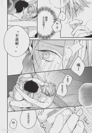第216頁圖