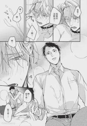 第217頁圖