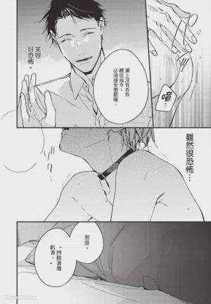 第218頁圖