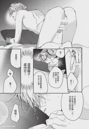 第219頁圖