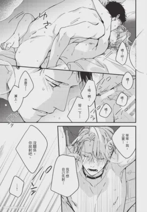 第223頁圖